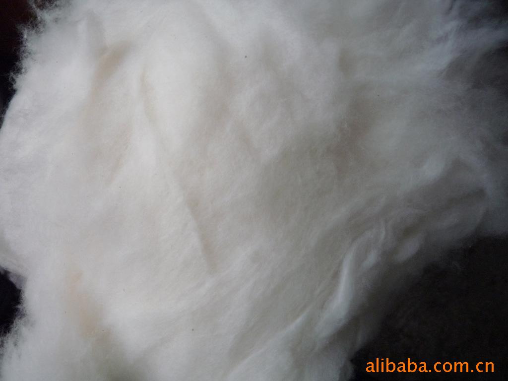 【棉花 在生棉花 布邊 化纖 滌綸 粘膠】價格,廠家,圖片,其他紡織廢料,永嘉縣橋下鎮(zhèn)路斯無紡布加工廠-