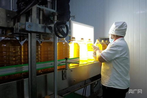 揚(yáng)優(yōu)勢補(bǔ)短板強(qiáng)弱項新疆糧油產(chǎn)業(yè)快速發(fā)展