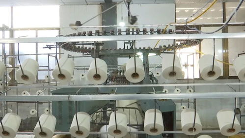 1000噸 這就是肅寧針紡企業(yè)日均用棉紗的量