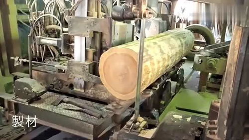 這是我見過最滿意的日本木材加工廠,難得一見的大場面