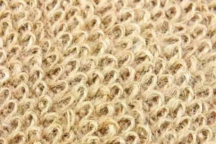 新型服裝材料 生態服裝材料