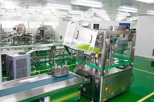 上海面包代加工廠