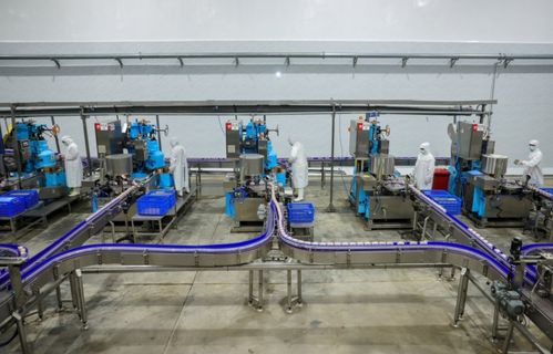 訂單足,市場旺 美寧食品罐頭智能化加工車間忙