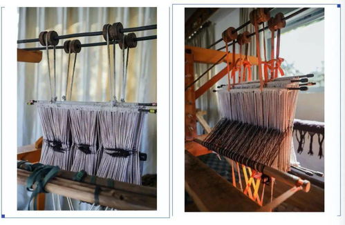 非遺考察培訓進林芝 品味民族文化,共赴非遺服飾之旅