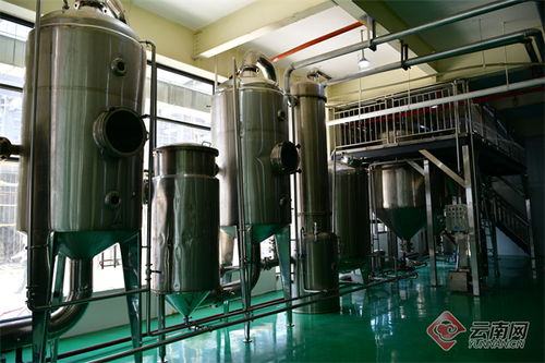 雅樂鮮云南工廠建成投產(chǎn) 推動 云菌 精深加工上臺階