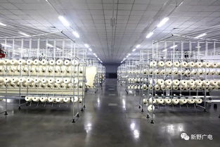 上馬染整項目,打通全產(chǎn)業(yè)鏈 新野紡織服裝產(chǎn)業(yè)再升級