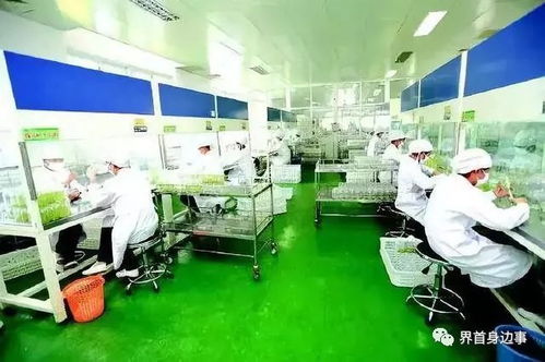 好消息 界首2個鄉(xiāng)鎮(zhèn)入選中央重點名單,將被重點發(fā)展