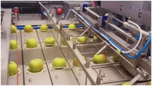 果蔬自動(dòng)加工生產(chǎn)線 順應(yīng)飲品市場(chǎng)消費(fèi)趨勢(shì)的創(chuàng)新印染加工技術(shù)