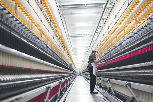 創(chuàng)新有道 大顯身手——民營(yíng)經(jīng)濟(jì)高質(zhì)量發(fā)展觀察之一 紡紗加工