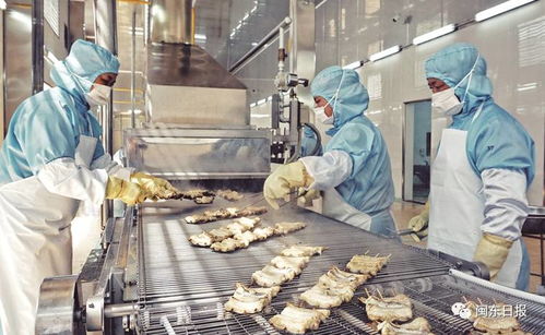 開發(fā)三都澳 建設新寧德 三同工程助力水產(chǎn)加工業(yè)轉型升級，東僑提升配套服務北部新區(qū)產(chǎn)業(yè)發(fā)展