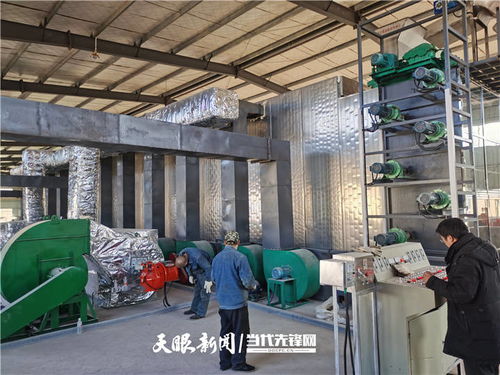 施秉 萬畝魔芋產(chǎn)業(yè)升級(jí)，深加工與紡紗雙輪驅(qū)動(dòng)