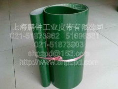 印染加工中的無毒輸送帶 果蔬加工設(shè)備的核心保障